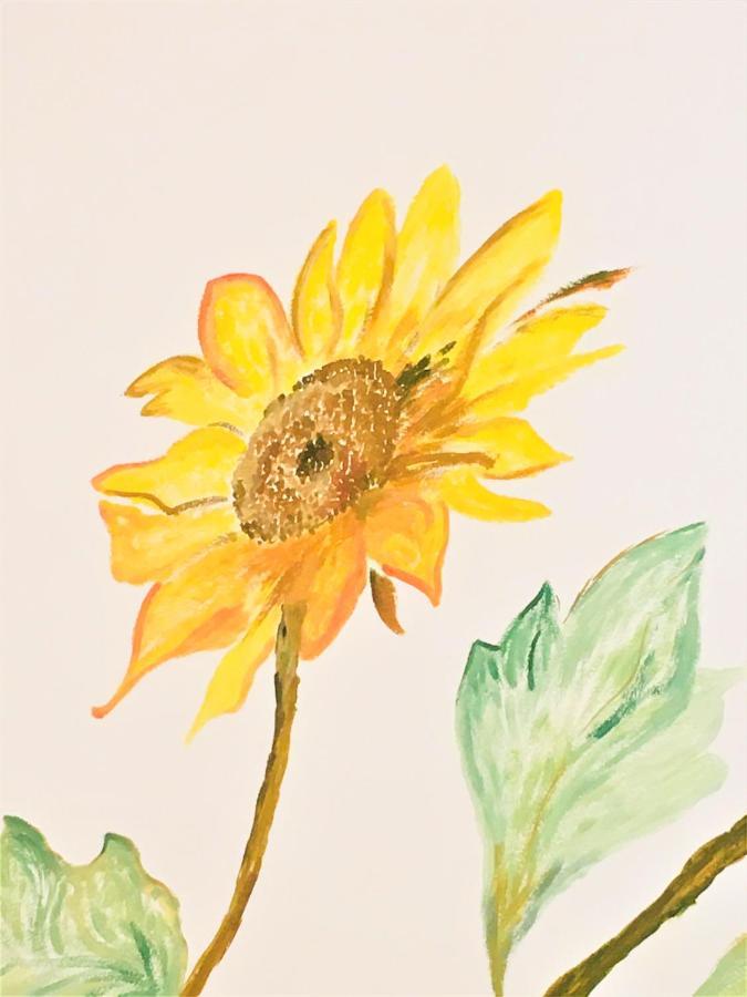 Apartamento Il Girasole Caprino Veronese Exterior foto